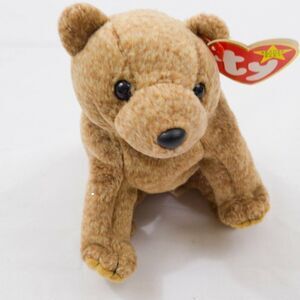 5th Generation Tag, Retired Ty Pecan, PE Pellets, Holographic Tush Tag